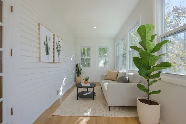 a living room with furniture flowerpot and window
