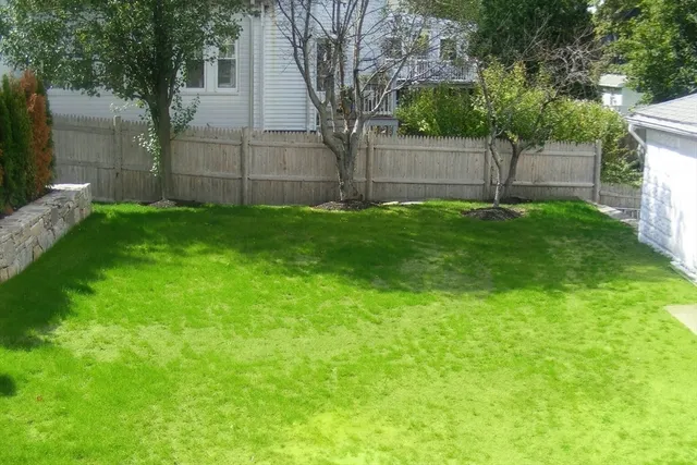 a view of a backyard with a tree
