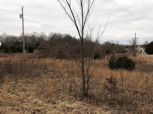 641 Cook Road Portland, TN 37148 - Photo 1 of 4 a view of a forest