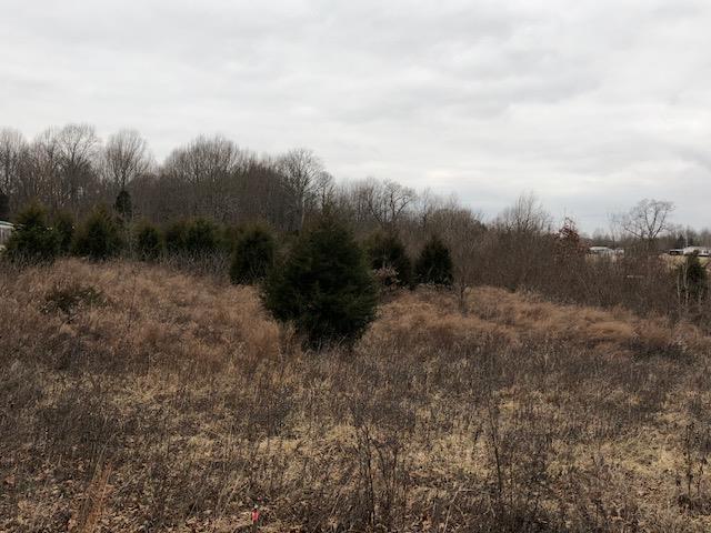 641 Cook Road Portland, TN 37148 - Photo 2 of 4 a view of a dry yard with trees