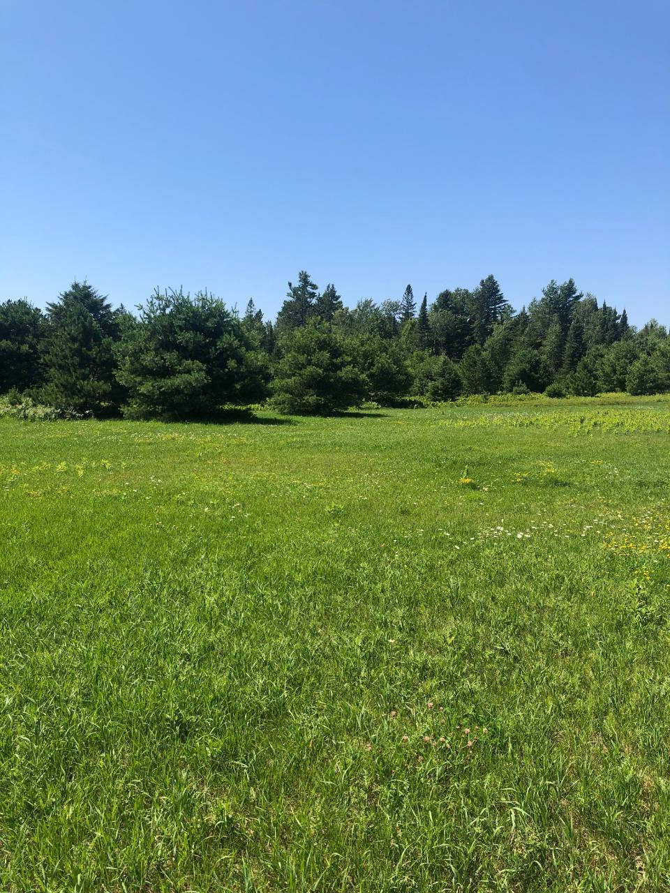 On Boyer Road, Unit LOT 5 Mercer, WI 54547 - Photo 6 of 12 Gallery Image 6