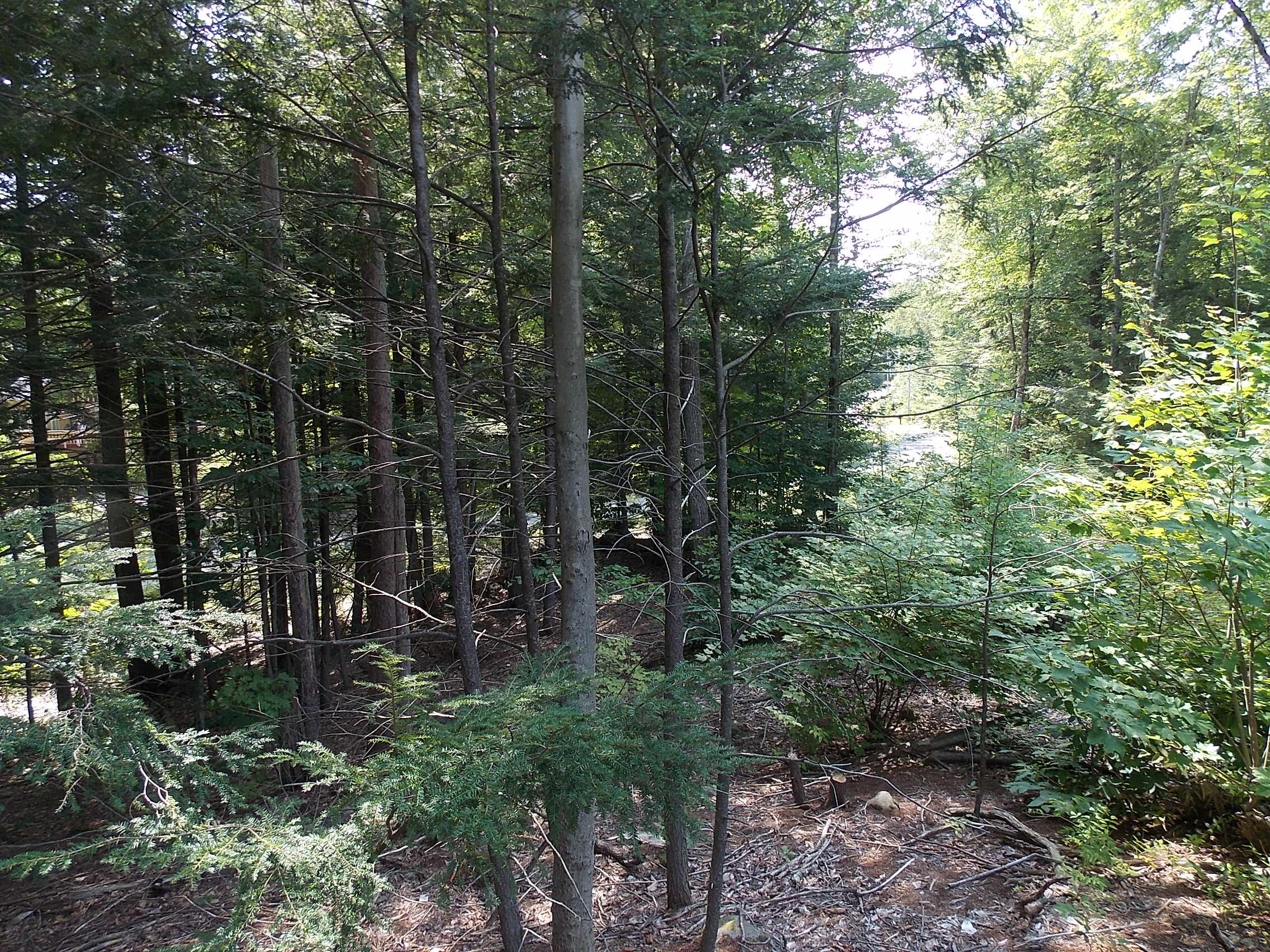 0 Walnut Brook Road Sanford, ME 04073 - Photo 14 of 19 DSCN9527