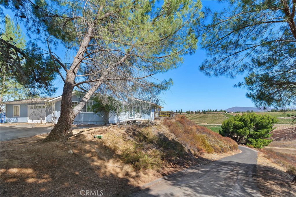 34881 Los Nogales Road Temecula, CA 92592 - Photo 11 of 50 View from the top of the driveway showing the home and looking back down the paved driveway. Views abound!