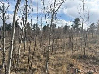 $95,000 | 404 Spade Place, Jefferson, CO 80456