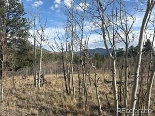 $95,000 | 404 Spade Place, Jefferson, CO 80456