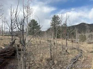 $95,000 | 404 Spade Place, Jefferson, CO 80456
