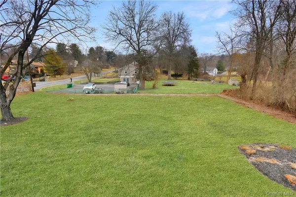 a view of a park with large trees