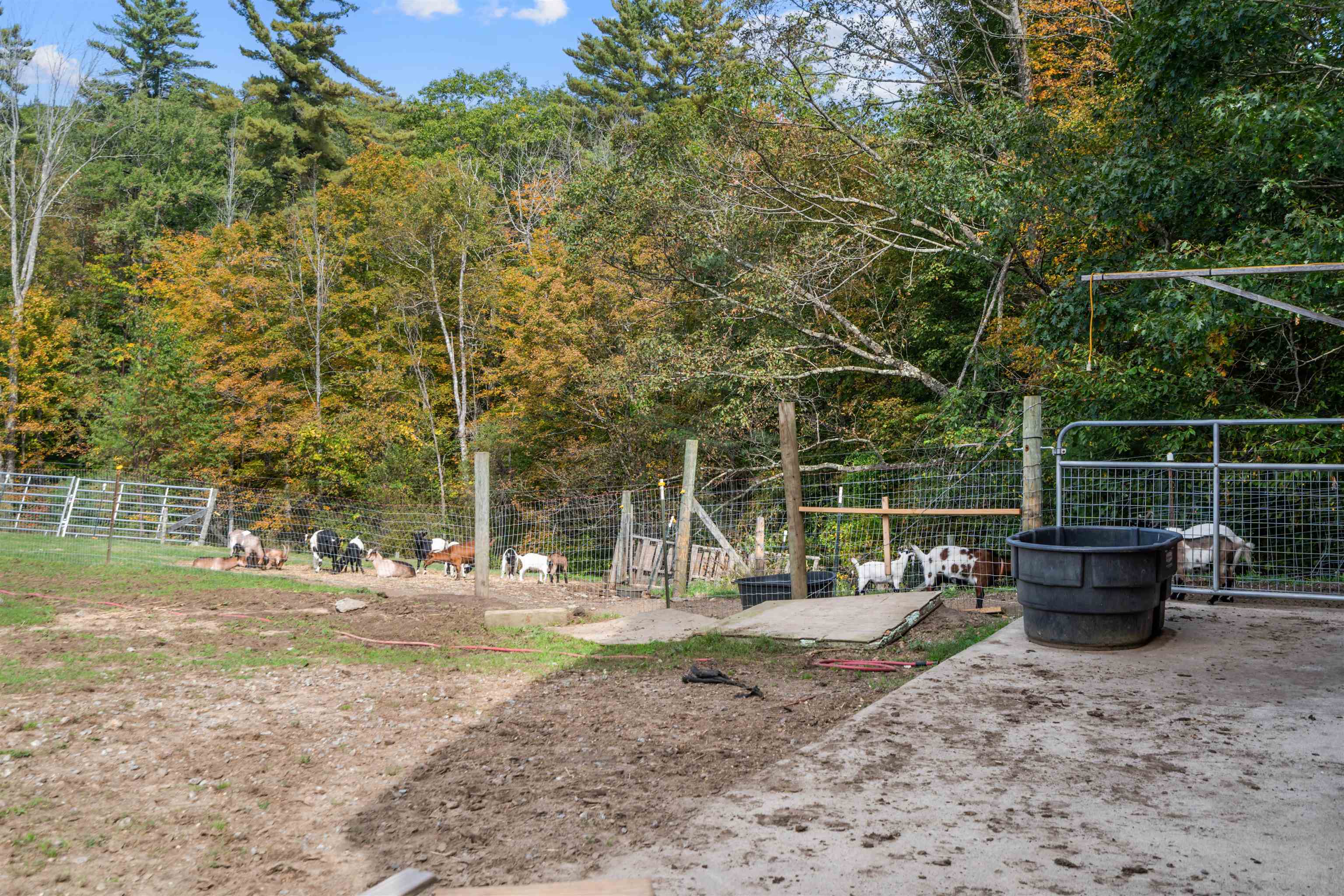 447 Center Road Hillsborough, NH 03244 - Photo 53 of 54