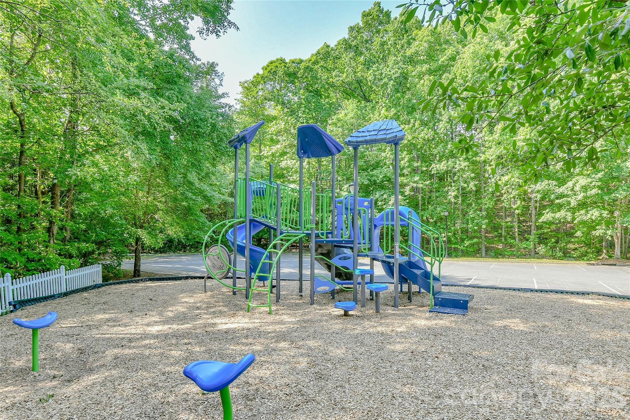 629 6th Baxter Crossing Fort Mill, SC 29708 - Photo 41 of 48 a view of a park with slide