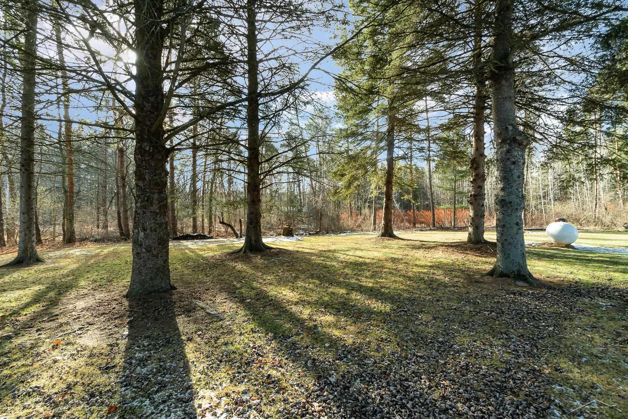 4723 Salt River Road Shepherd, MI 48883 - Photo 24 of 29