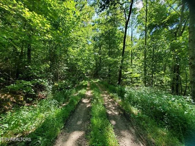 $925,000 | 439 Elvira Lane, Winfield, TN 37892