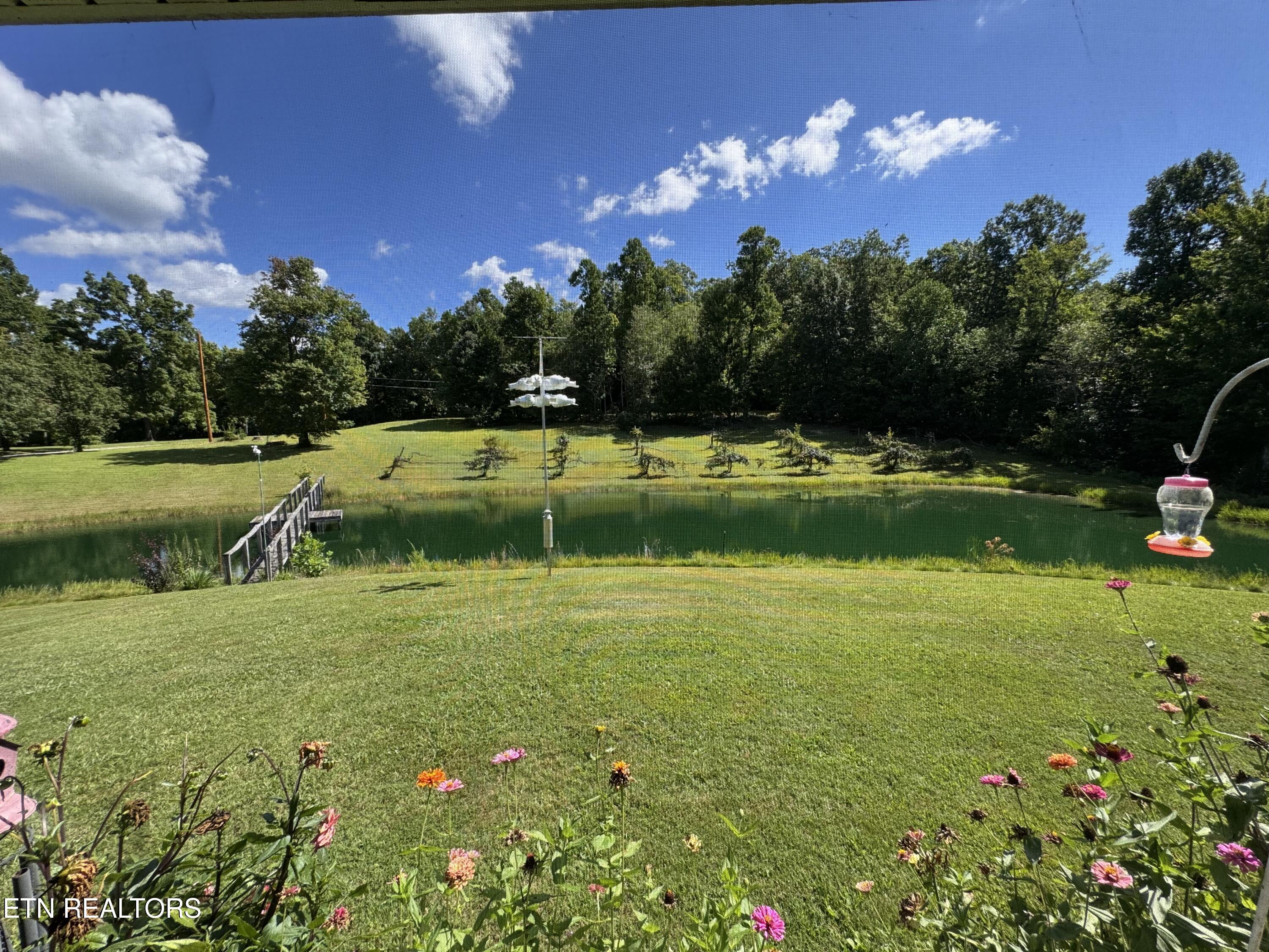 439 Elvira Lane Winfield, TN 37892 - Photo 48 of 52 IMG_9224