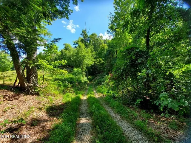 $925,000 | 439 Elvira Lane, Winfield, TN 37892