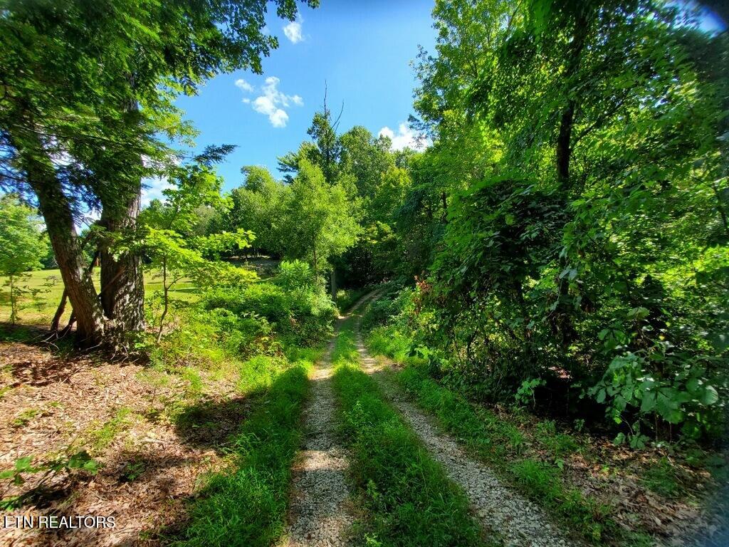 439 Elvira Lane Winfield, TN 37892 - Photo 7 of 52 imagejpeg_0 (14)