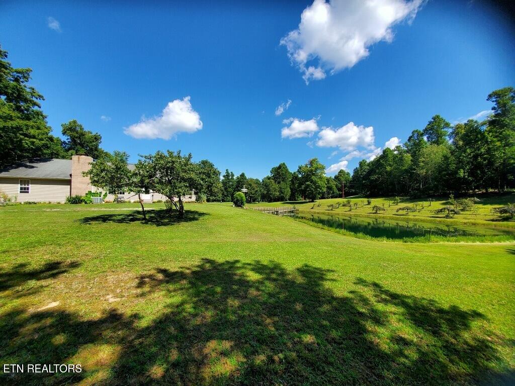 439 Elvira Lane Winfield, TN 37892 - Photo 10 of 52 imagejpeg_0 (13)