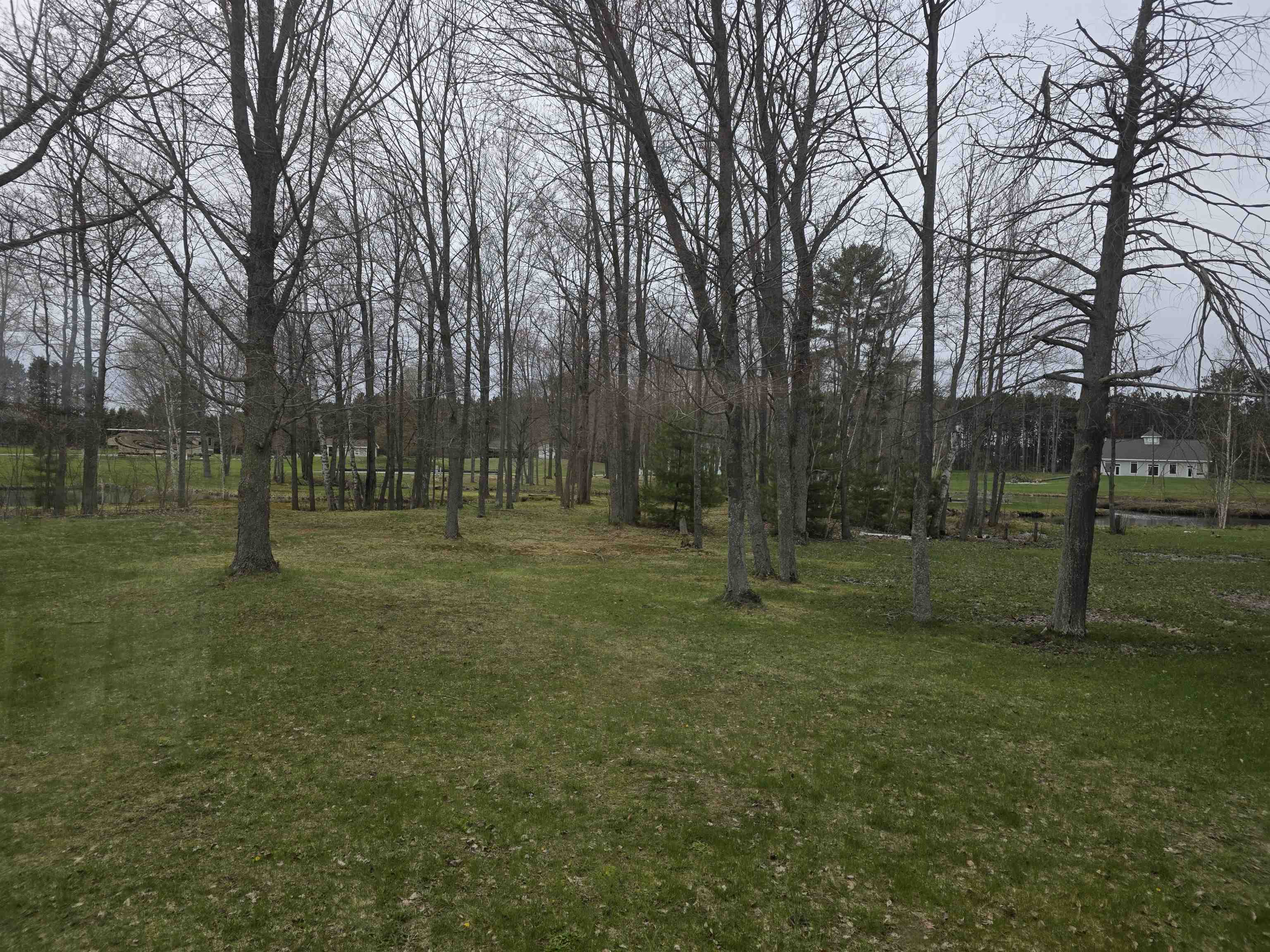 6100 Larson Road, Unit LOT: LOT 12 South Boardman, MI 49680 - Photo 15 of 16