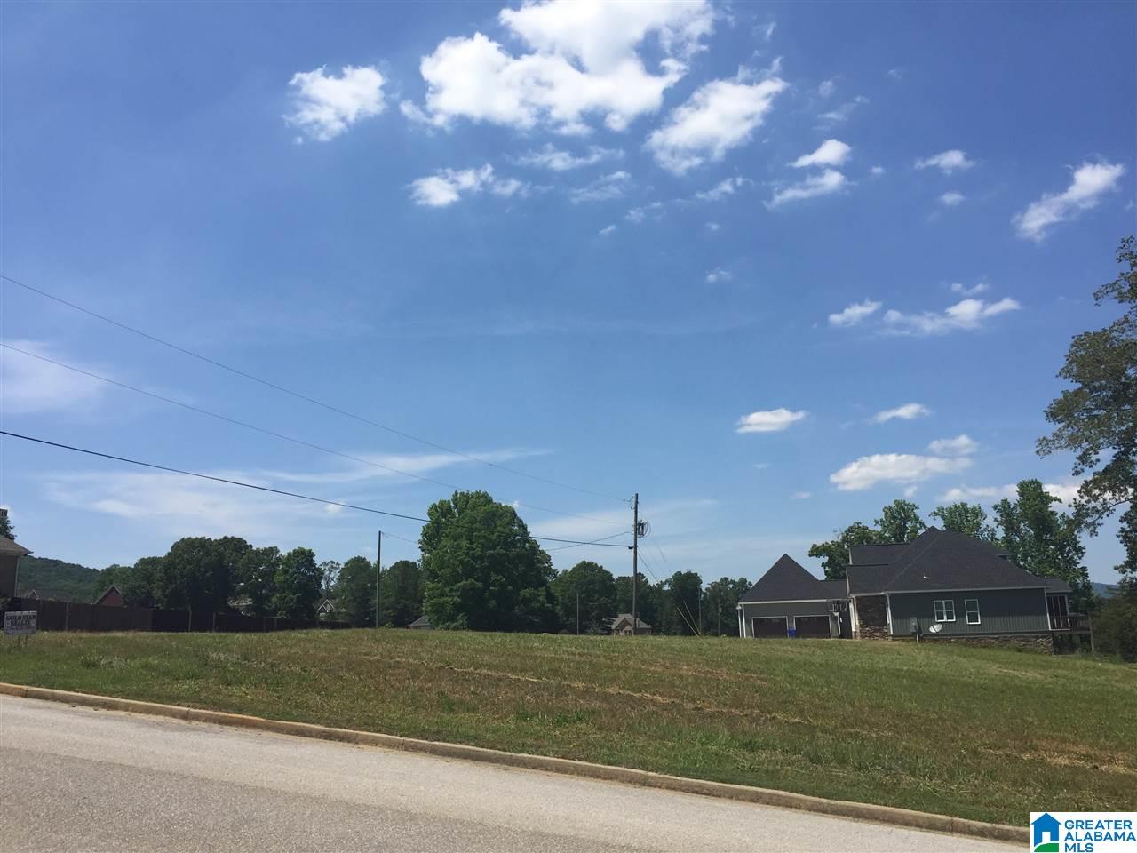 0 Mount Eagle Lane, Unit 1 Anniston, AL 36207 - Photo 3 of 19