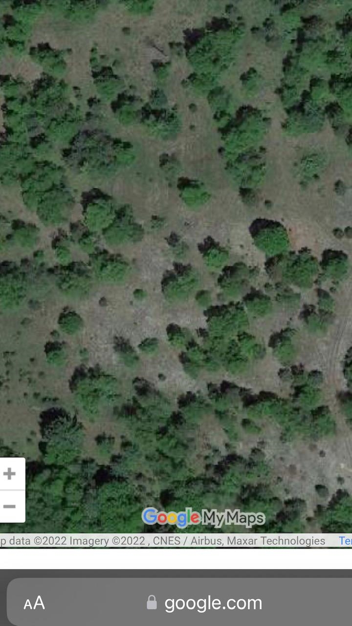 19 19 Mile Road Tustin, MI 49688 - Photo 4 of 5 1907404-3.JPG