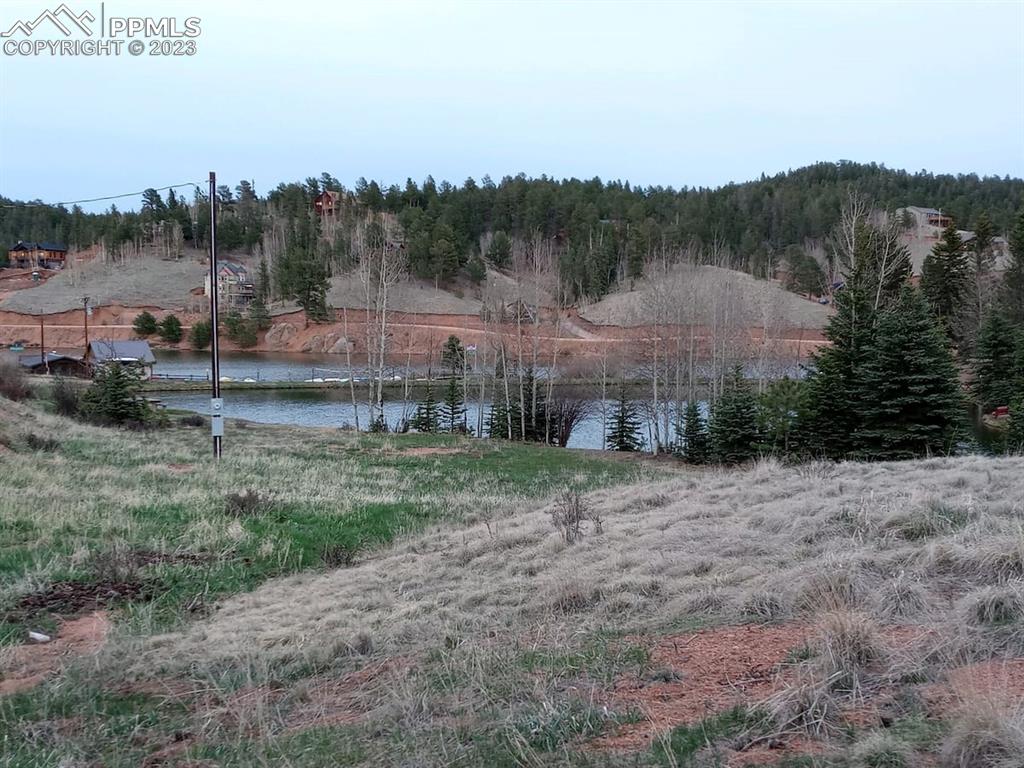 238 Aspen Circle Divide, CO 80814 - Photo 13 of 42 a view of a town with trees in the background