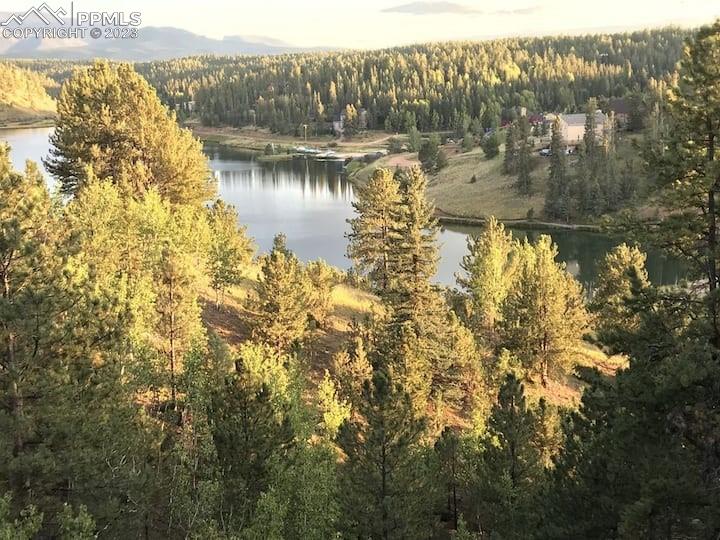 238 Aspen Circle Divide, CO 80814 - Photo 14 of 42 a view of lake