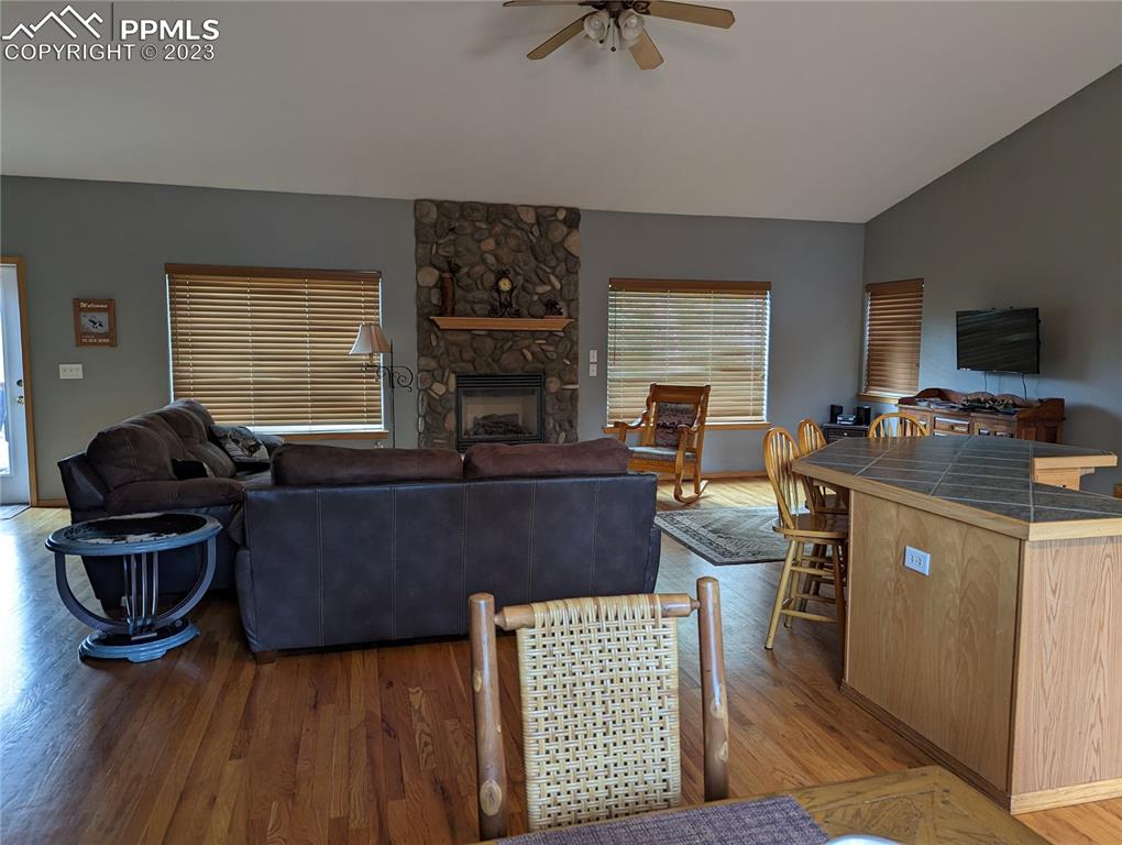 238 Aspen Circle Divide, CO 80814 - Photo 18 of 42 a living room with furniture and a fireplace