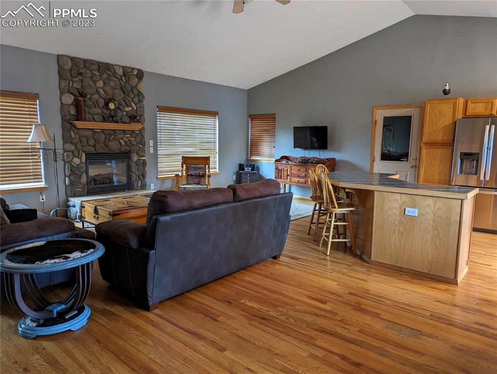 238 Aspen Circle Divide, CO 80814 - Photo 20 of 42 a living room with furniture and a fireplace