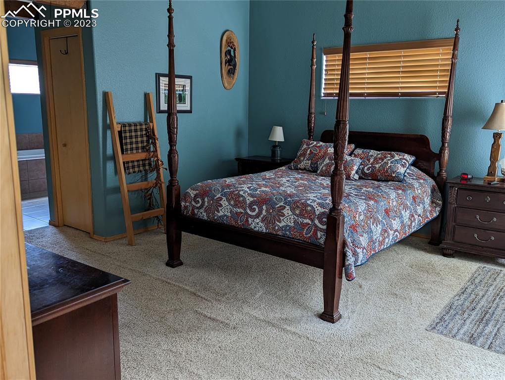 238 Aspen Circle Divide, CO 80814 - Photo 27 of 42 a bedroom with a bed and a walk in closet