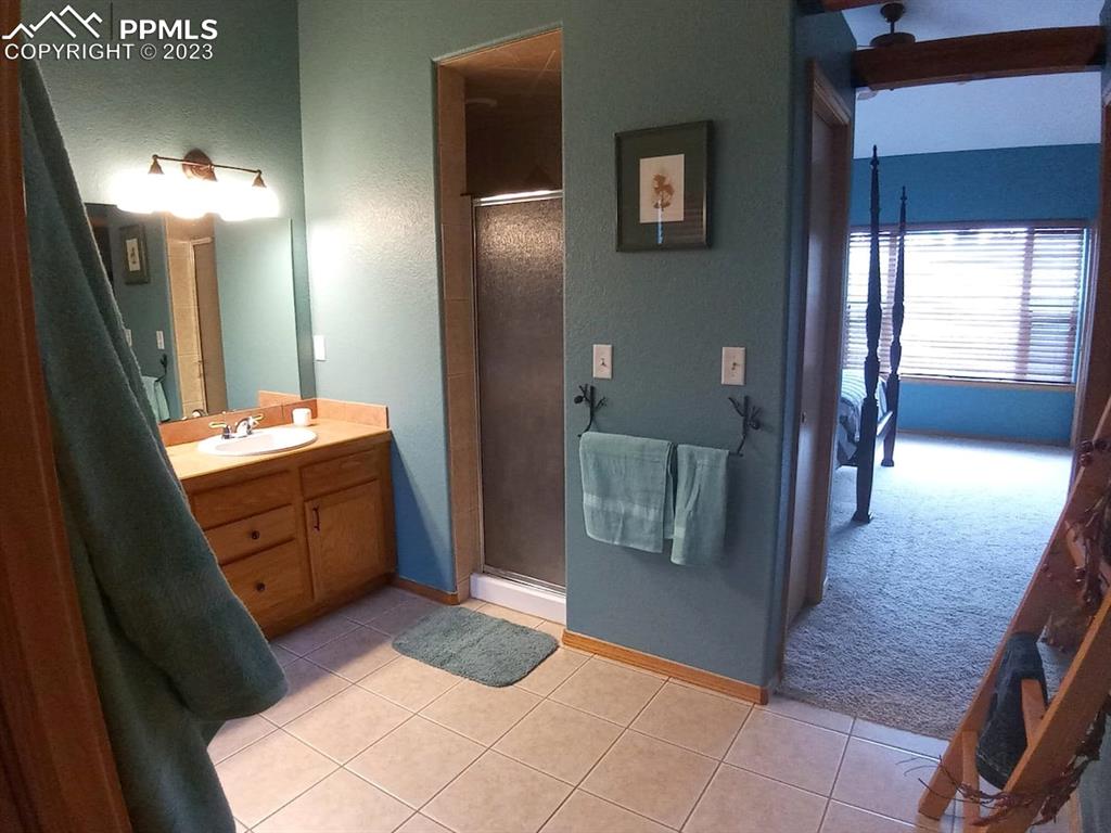238 Aspen Circle Divide, CO 80814 - Photo 30 of 42 a bathroom with a sink a mirror and a shower