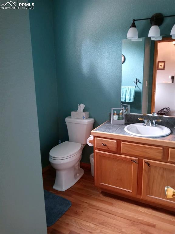 238 Aspen Circle Divide, CO 80814 - Photo 31 of 42 a bathroom with a toilet a sink and mirror