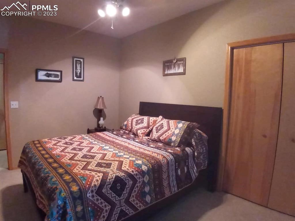 238 Aspen Circle Divide, CO 80814 - Photo 33 of 42 a bedroom with a bed and painting on the wall