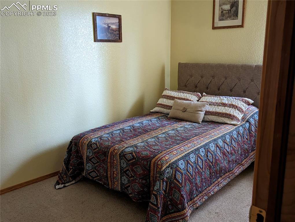 238 Aspen Circle Divide, CO 80814 - Photo 37 of 42 a bedroom with a bed and a window
