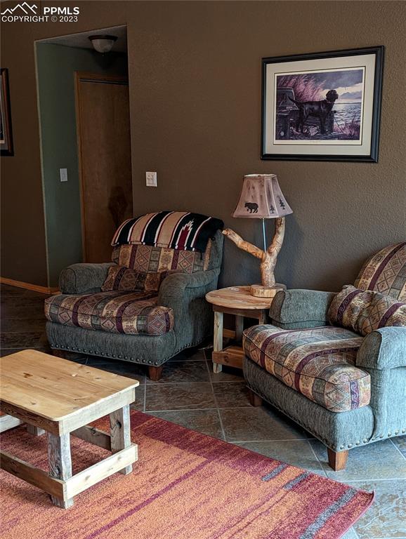 238 Aspen Circle Divide, CO 80814 - Photo 42 of 42 a living room with furniture and a rug