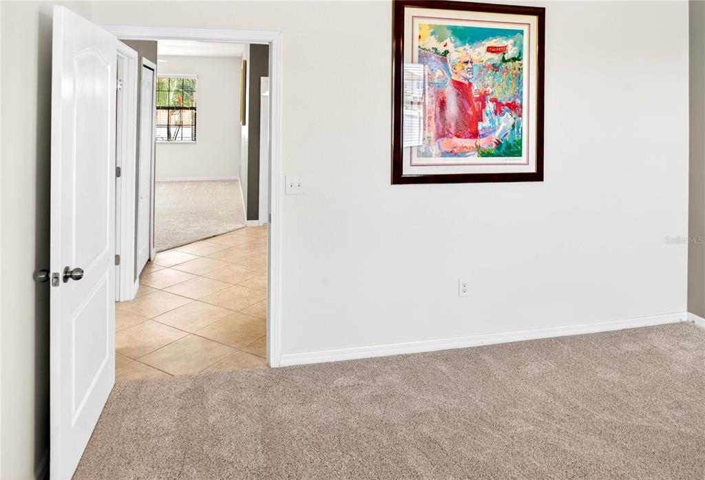 13415 White Sapphire Road Riverview, FL 33579 - Photo 36 of 96