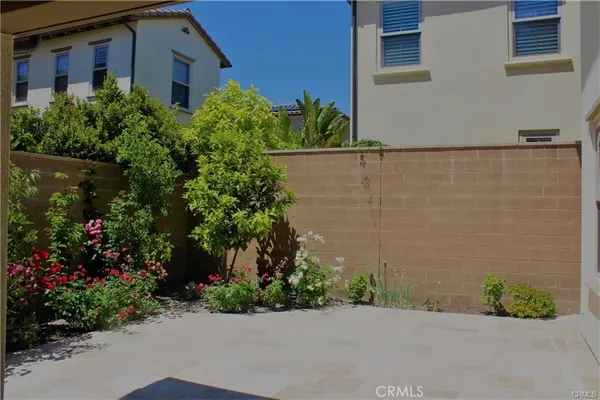 a potted plant sitting in front of a house