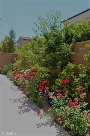 a view of a flower in a garden