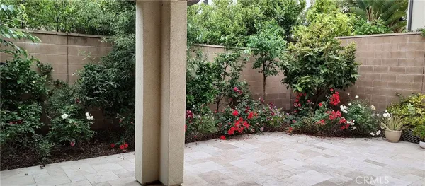 a view of a backyard with potted plants