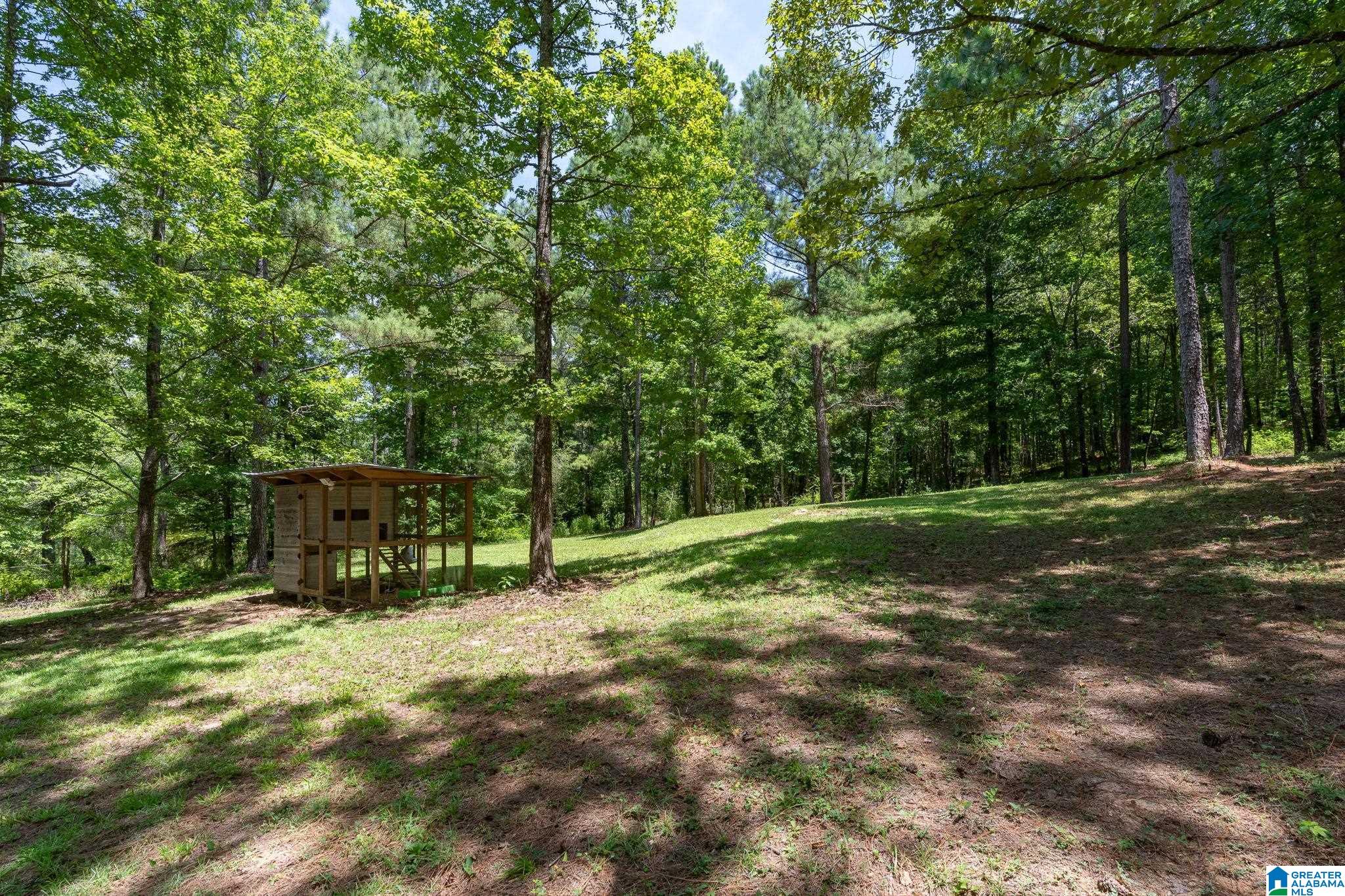 132 Chestnut Lane Helena, AL 35080 - Photo 38 of 59