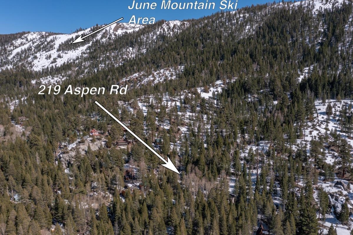 219 Aspen Road June Lake, CA 93529 - Photo 3 of 44 Gallery Image 3