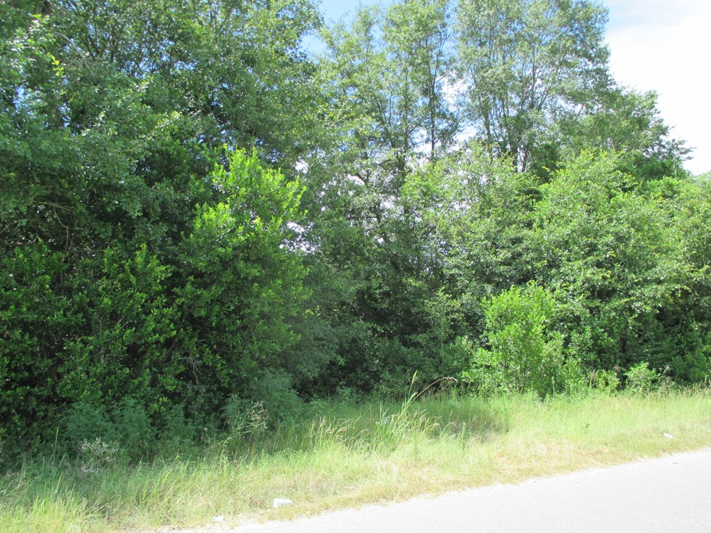 3235 Nazarene Church Road Sumter, SC 29154 - Photo 2 of 5 Gallery Image 2