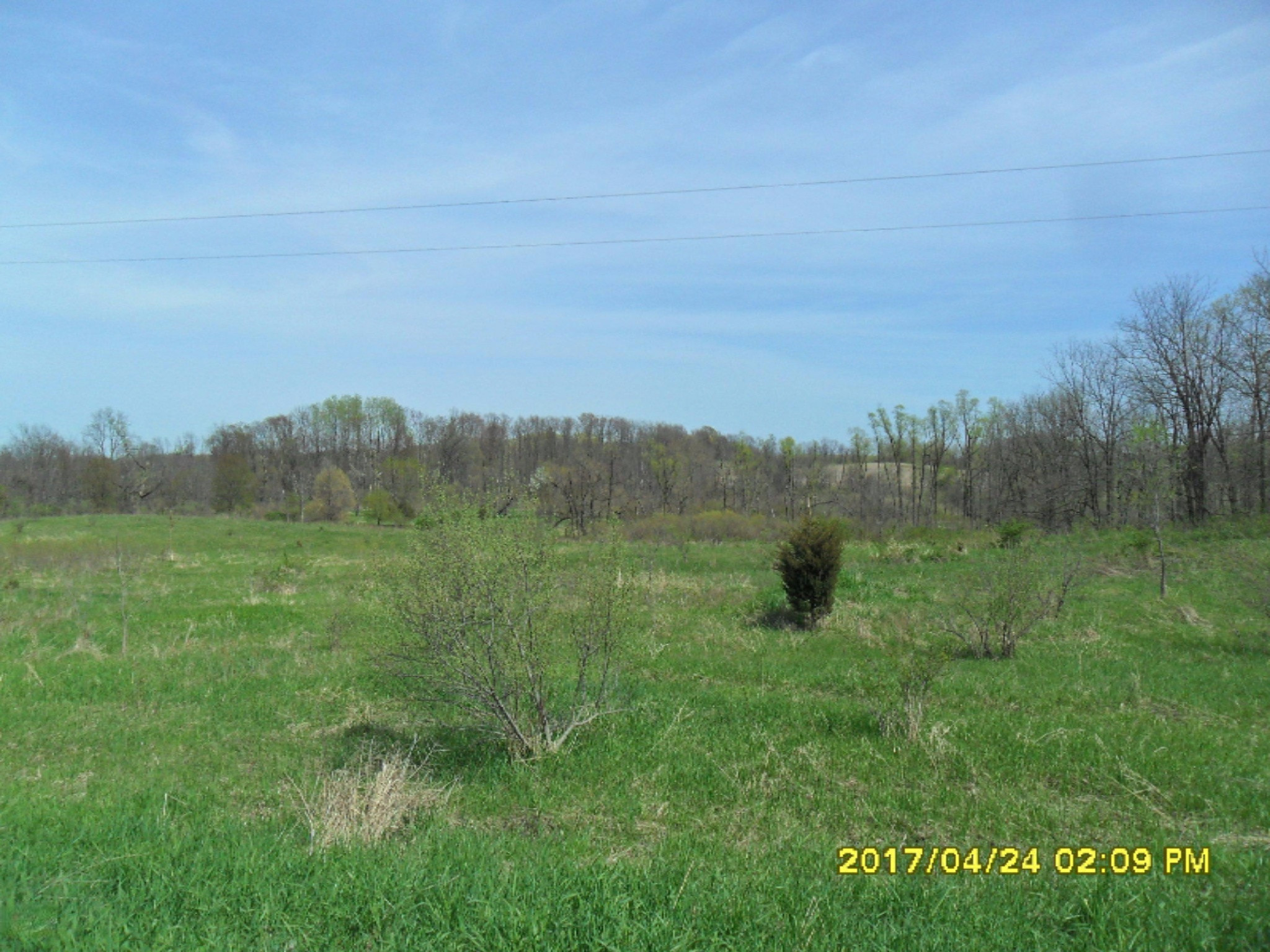 Fighter Road Hastings, MI 49058 - Photo 3 of 10 SAM_7417