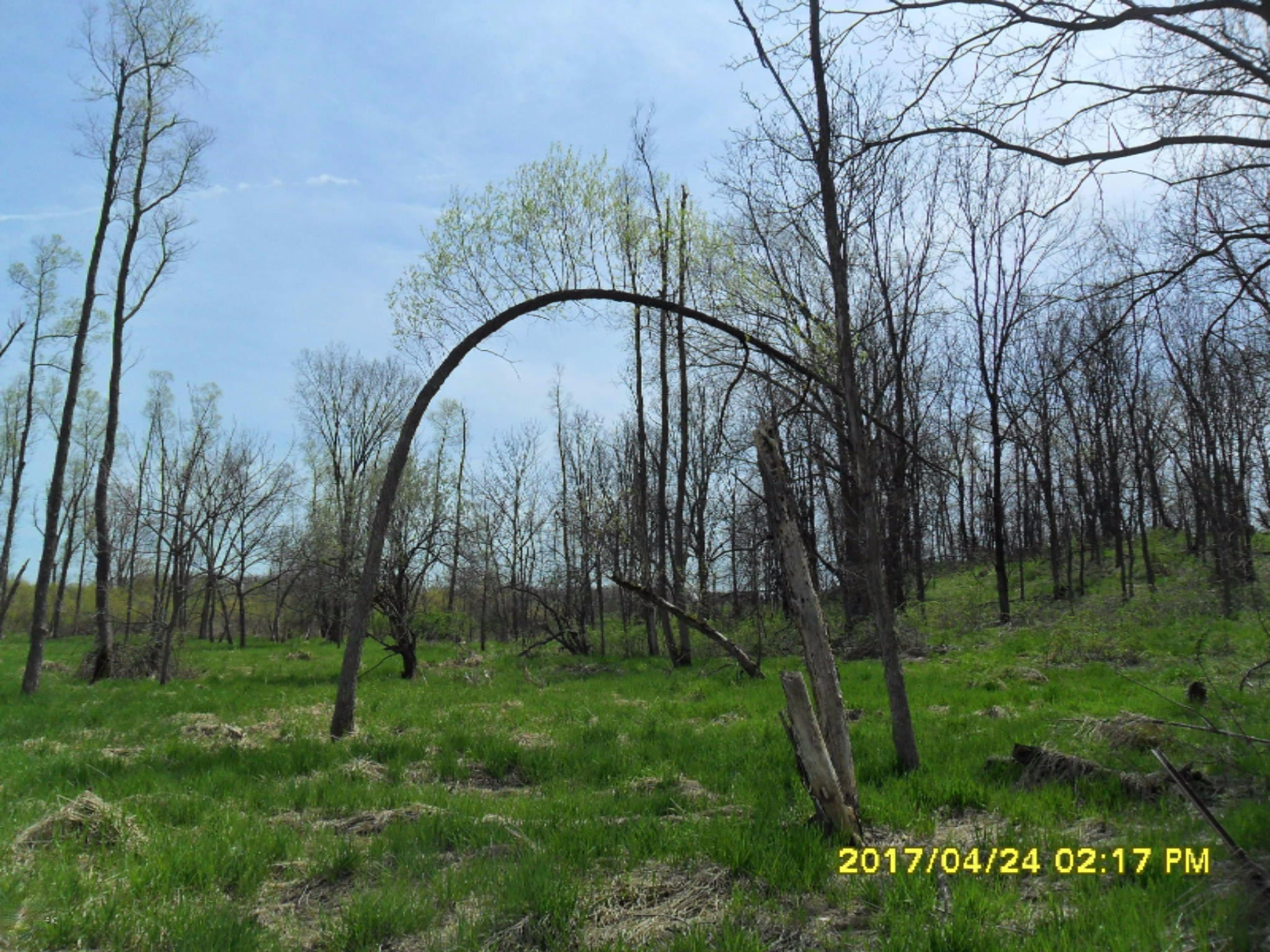 Fighter Road Hastings, MI 49058 - Photo 4 of 10 SAM_7424