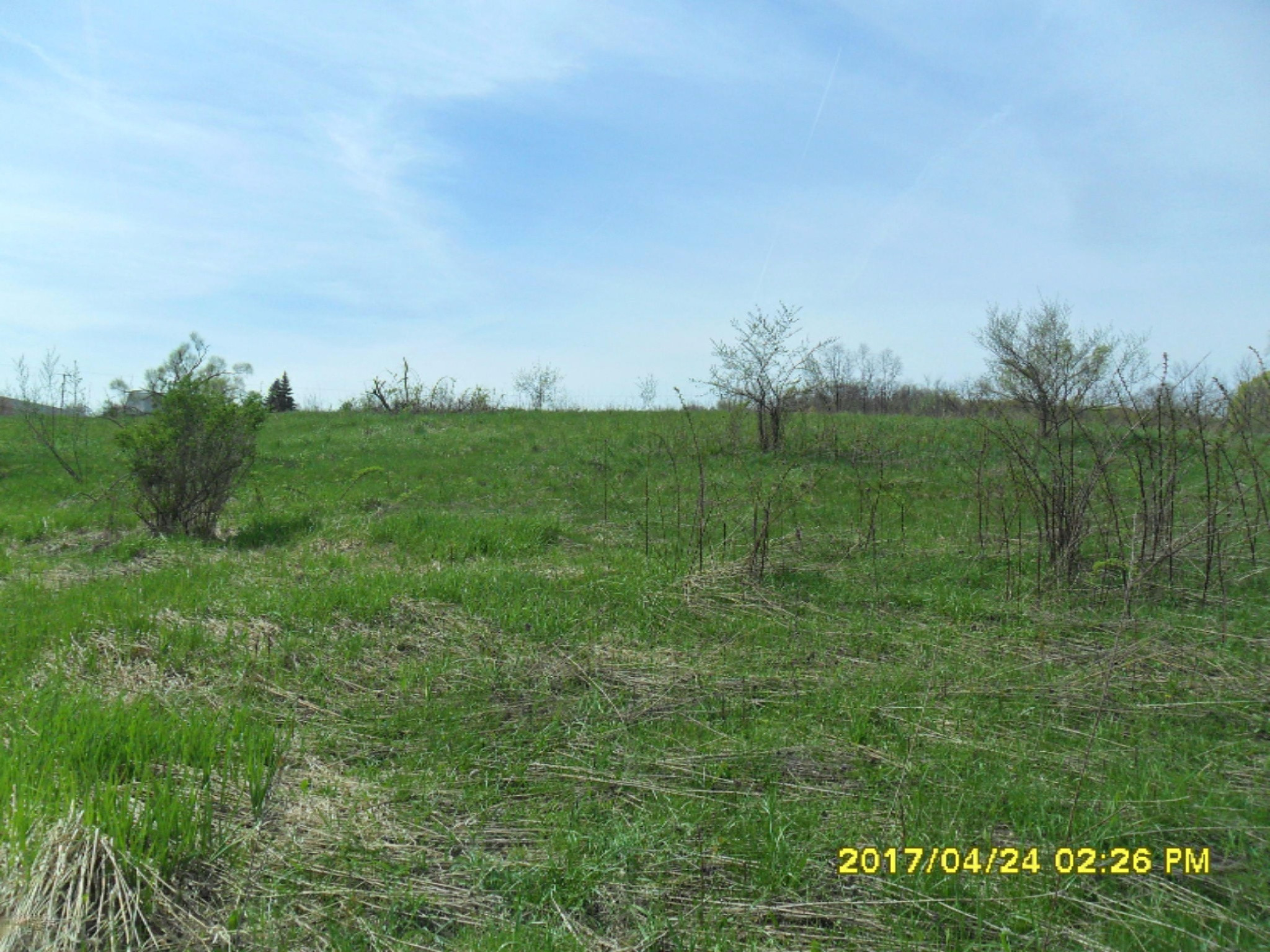 Fighter Road Hastings, MI 49058 - Photo 6 of 10 SAM_7435