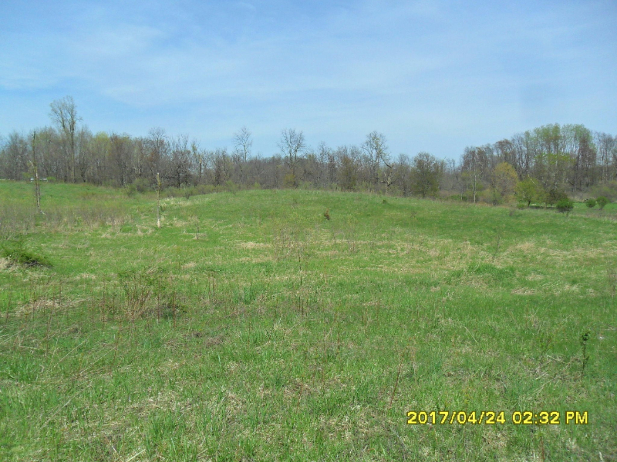 Fighter Road Hastings, MI 49058 - Photo 9 of 10 SAM_7447