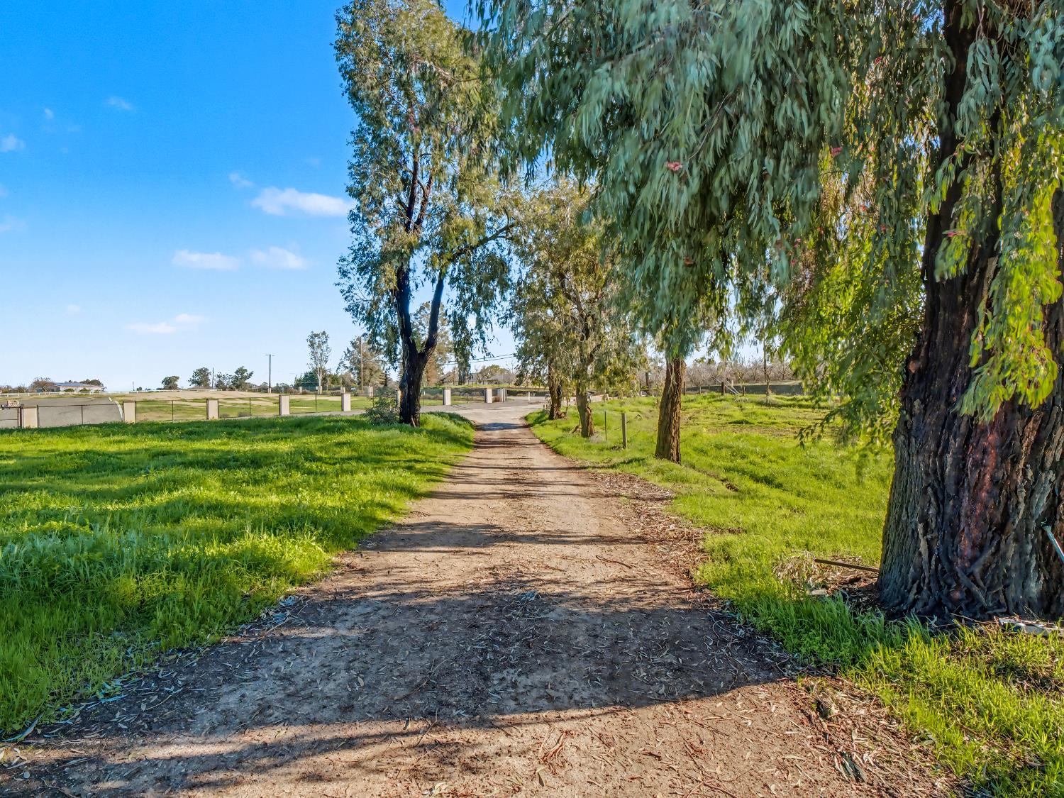 16998 Rio Plaza Road Madera, CA 93636 - Photo 40 of 42 a view of a park with large trees