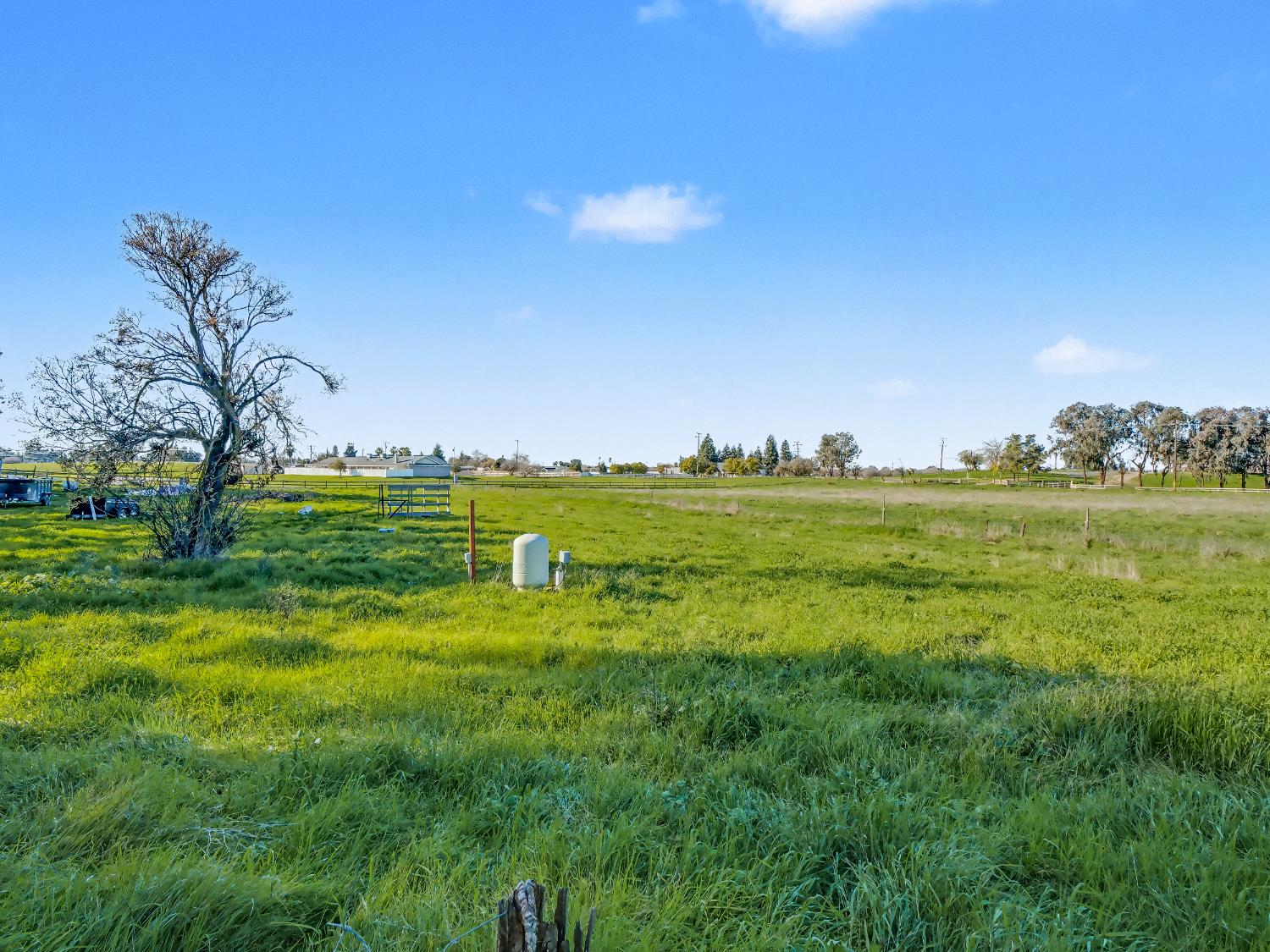 16998 Rio Plaza Road Madera, CA 93636 - Photo 42 of 42 a view of a grassy field with an trees