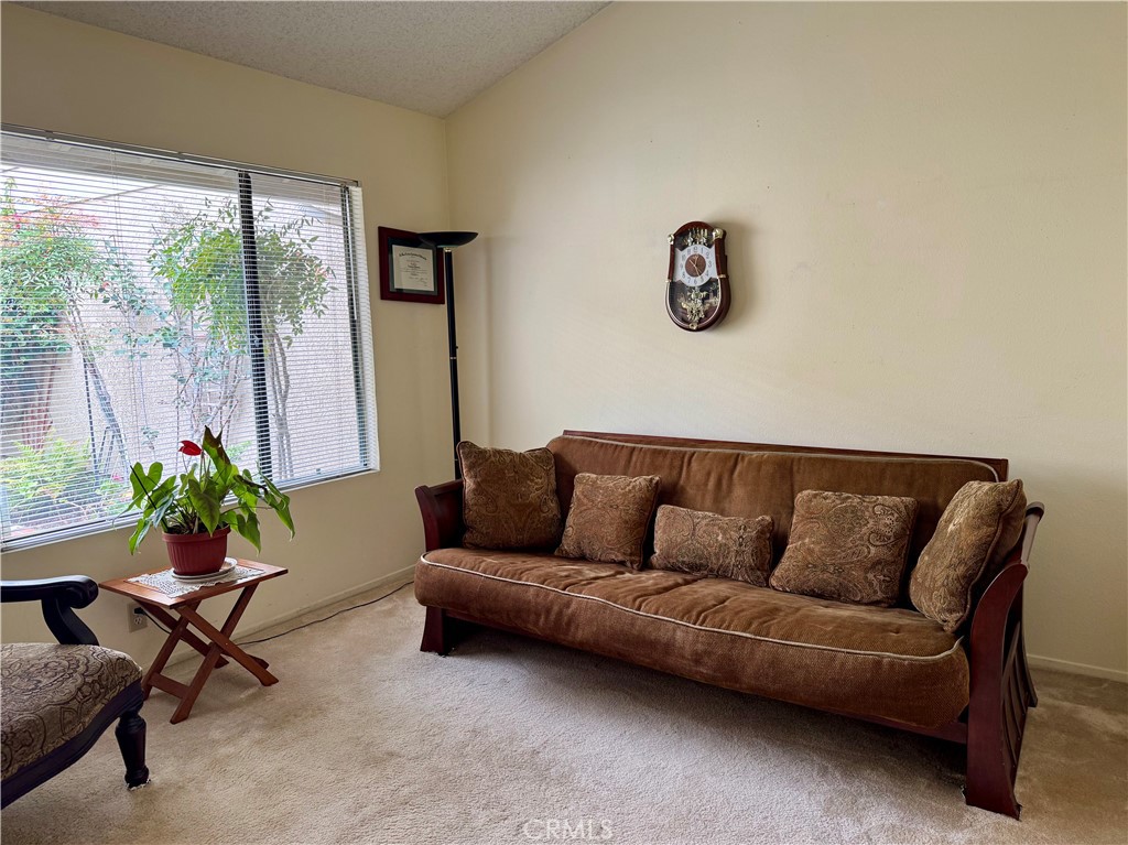 8 Coldstream Irvine, CA 92604 - Photo 13 of 27 a living room with furniture and a potted plant