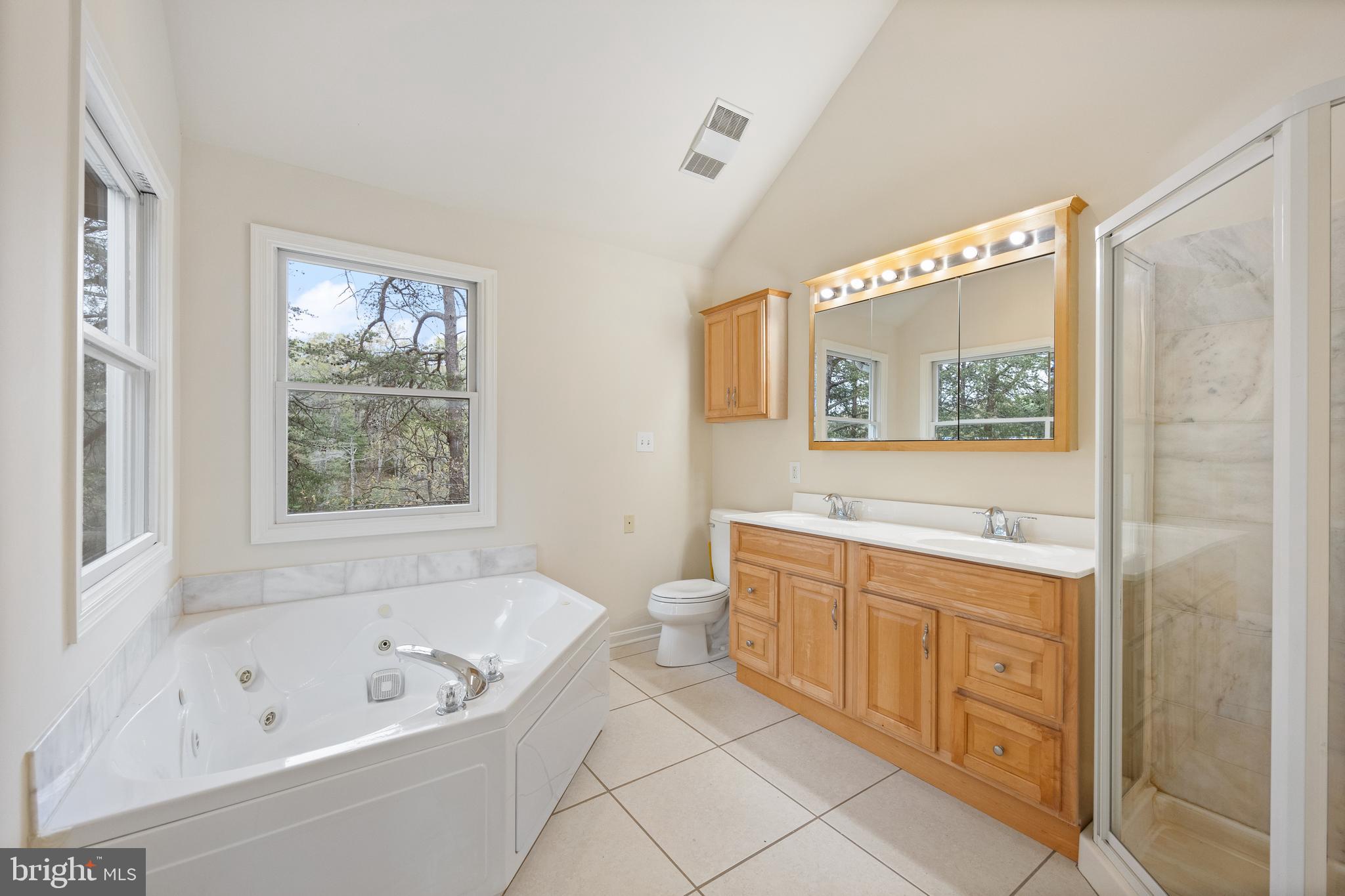 322 Piney Point Road Pasadena, MD 21122 - Photo 30 of 50 a bathroom with a tub a sink and a large mirror
