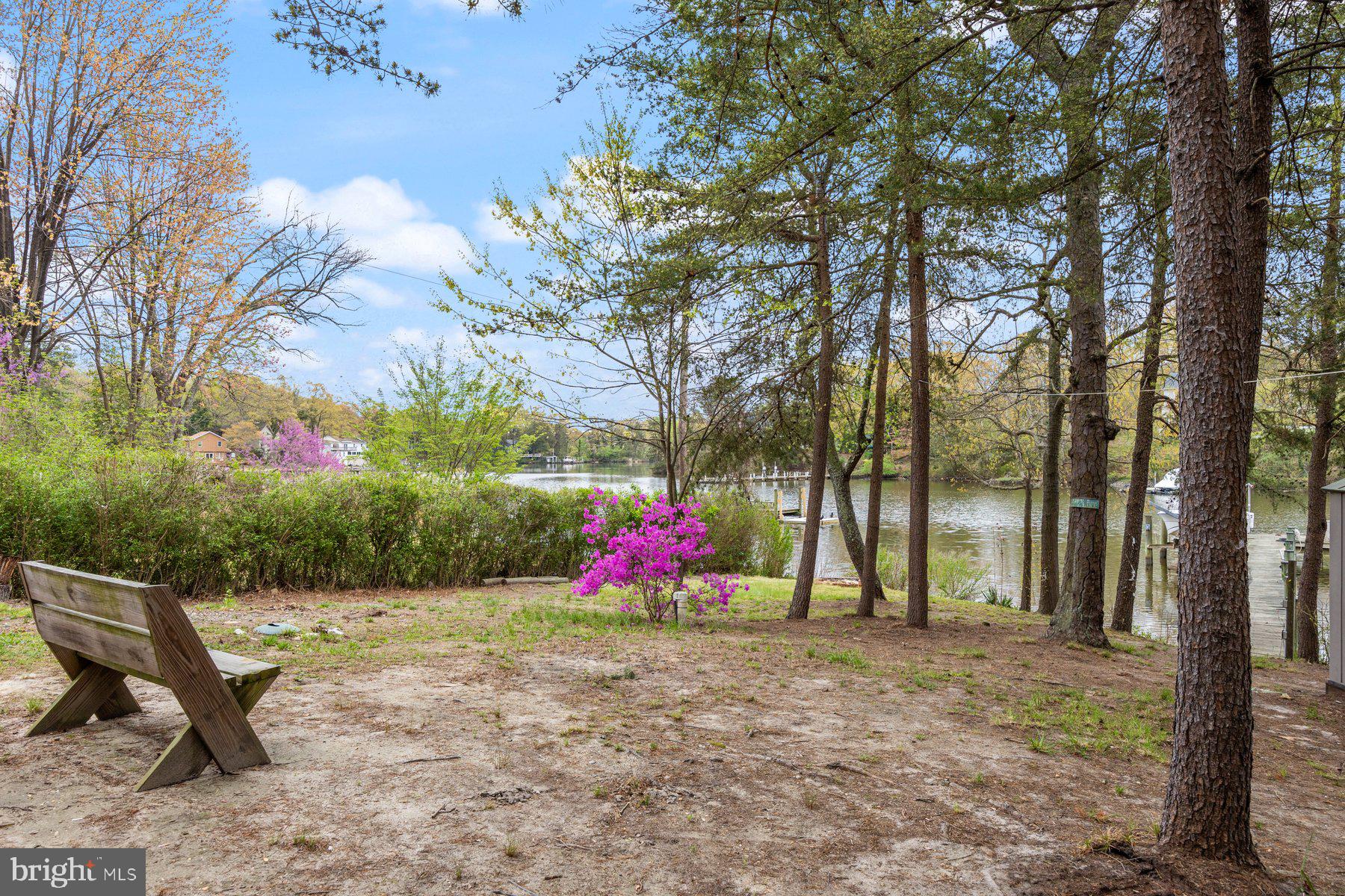 322 Piney Point Road Pasadena, MD 21122 - Photo 42 of 50 a view of a backyard with large trees