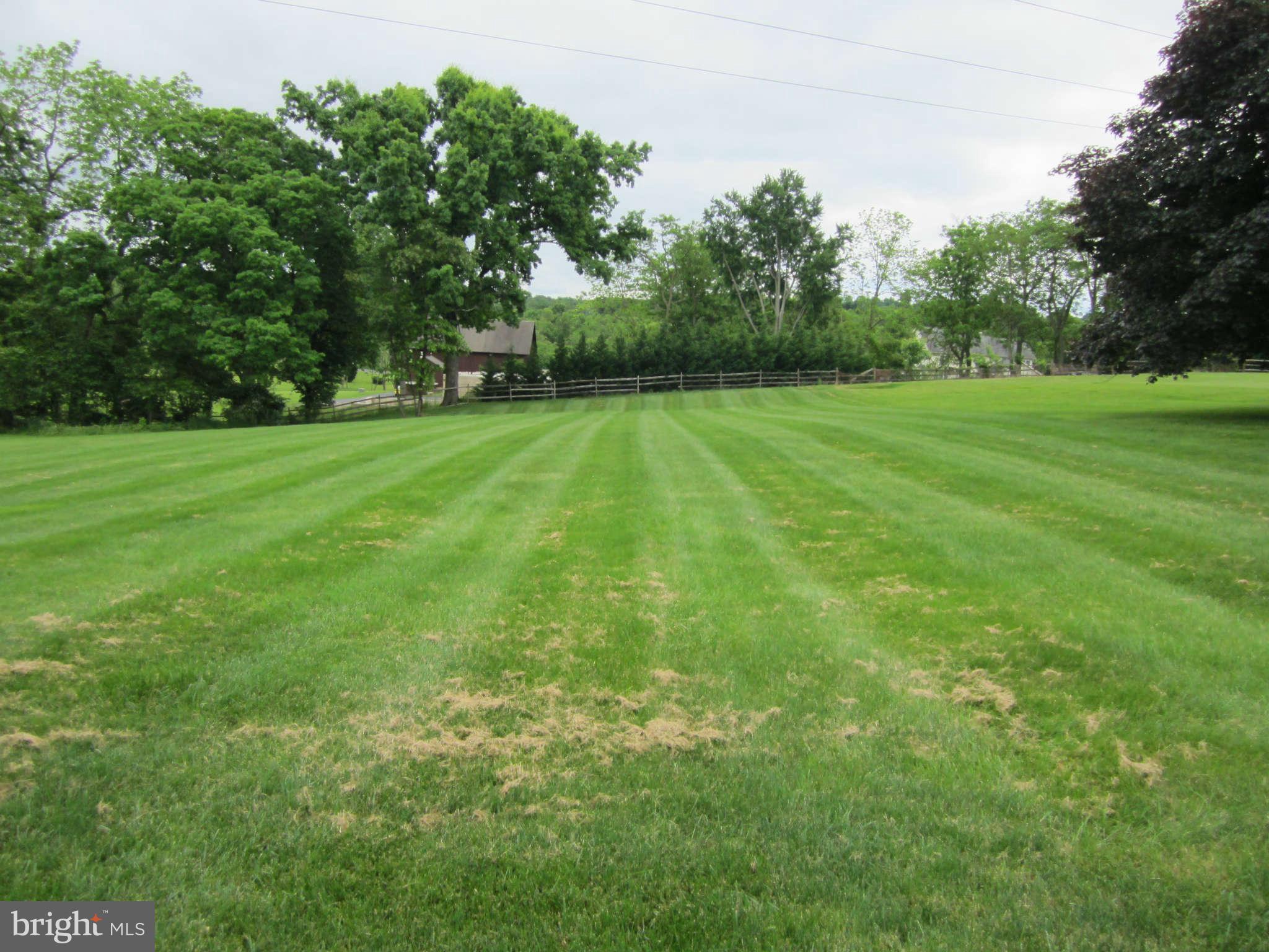 1113 Peachtree Road Fallston, MD 21047 - Photo 17 of 30 a view of yard with green space