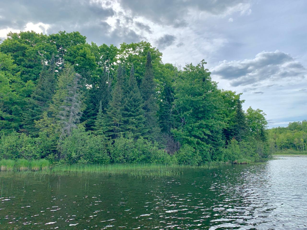 On Wildcat Road, Unit LOT A Presque Isle, WI 54557 - Photo 13 of 18 Gallery Image 13